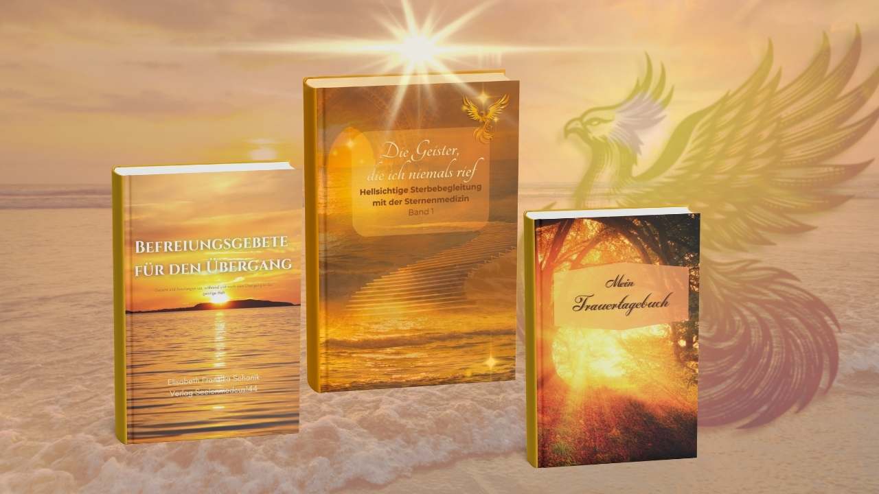 Home DerletzteWeg-Buch-Sterbebegleitung